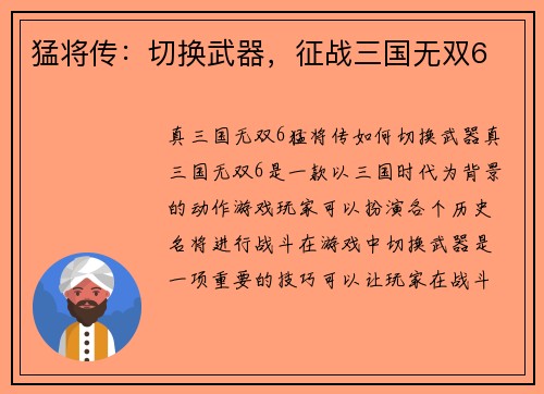 猛将传：切换武器，征战三国无双6